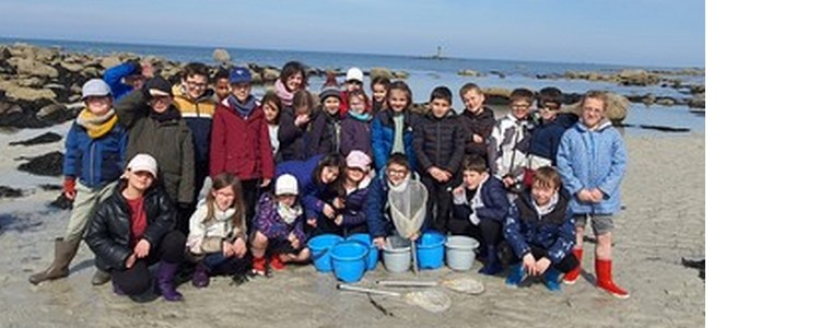 Les CE1-CE2 à la pêche à pied à l’île Ségal