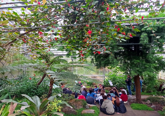 Les collégiens de 6ème visitent le Conservatoire Botanique National de Brest
