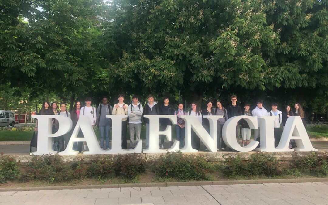 Palencia 2026 : une immersion culturelle et linguistique inoubliable